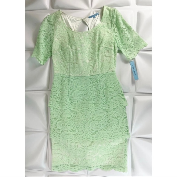 Antonio Melani Sz 6 Mint Green Tiered Scalloped Lace Sheath Shift Dress - Picture 3 of 10